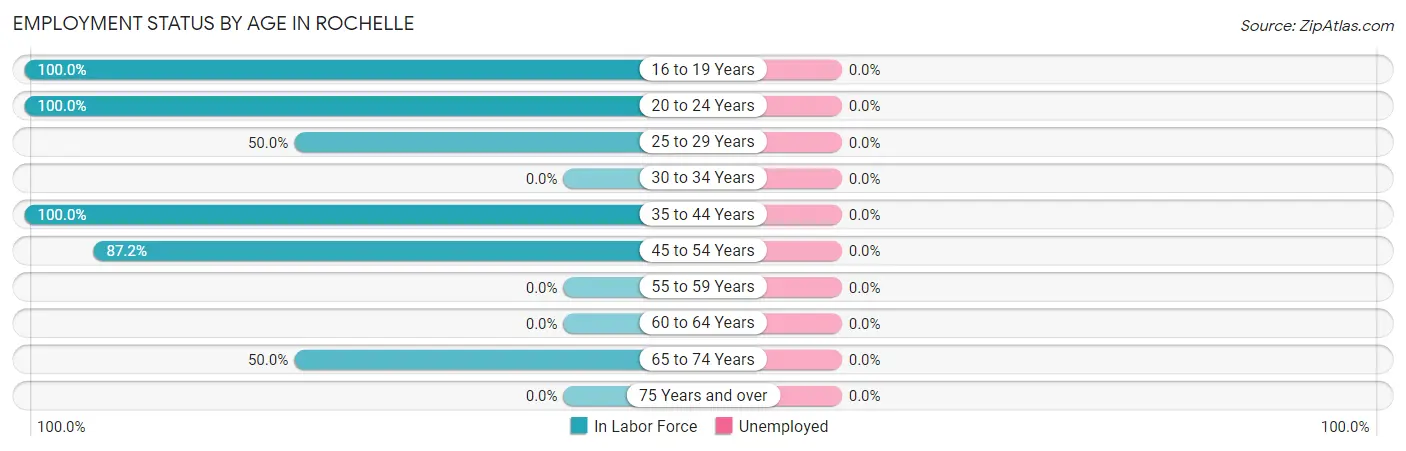 Employment Status by Age in Rochelle