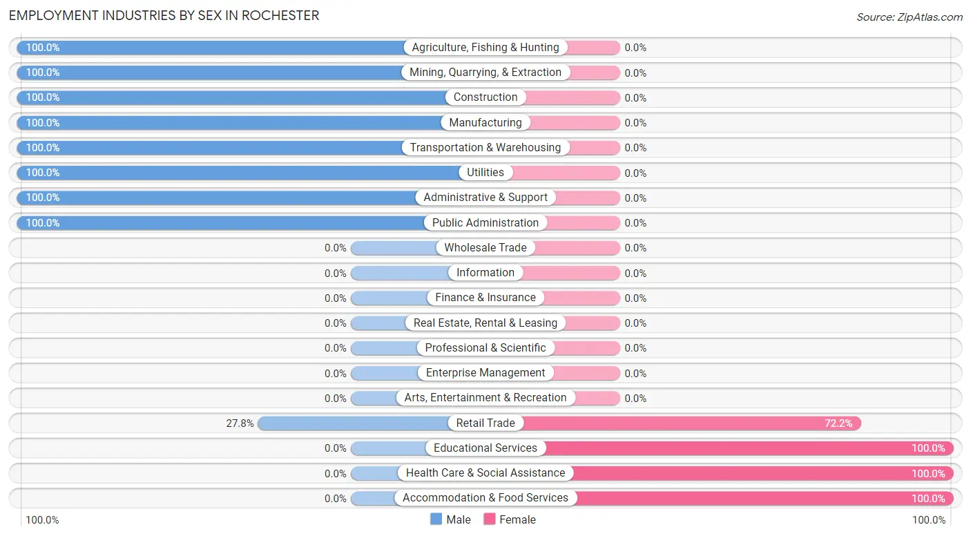 Employment Industries by Sex in Rochester