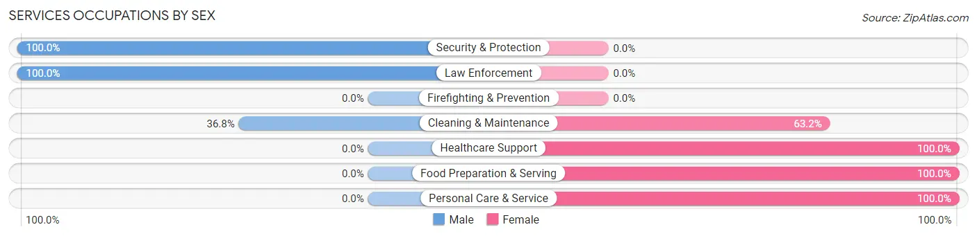 Services Occupations by Sex in Rochester