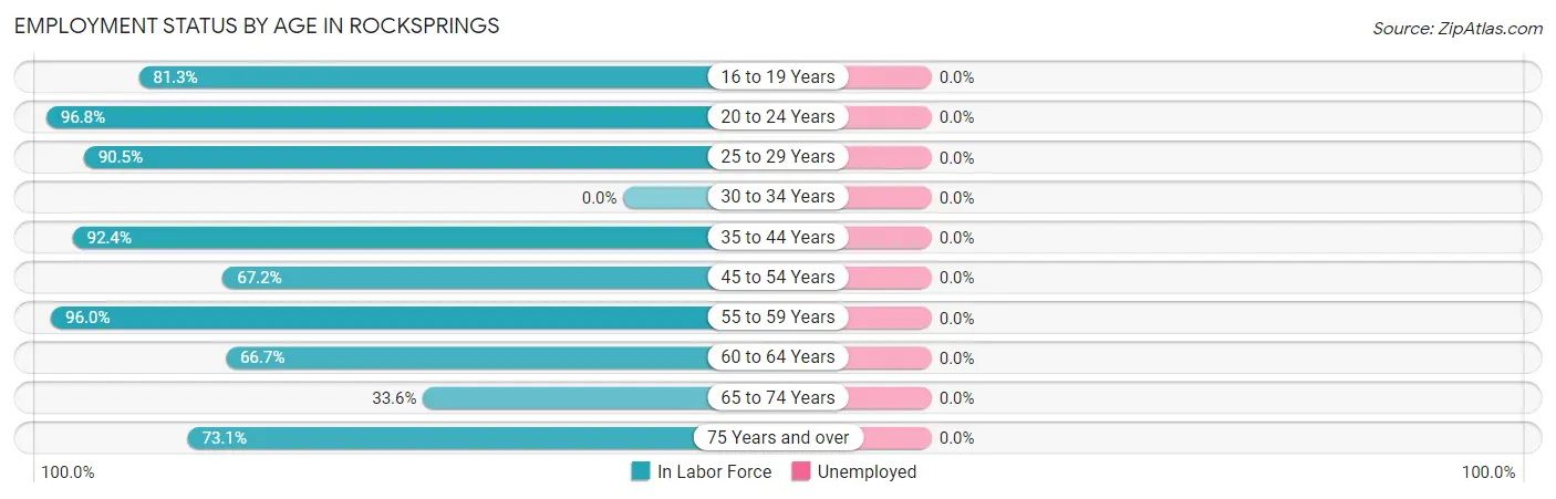 Employment Status by Age in Rocksprings