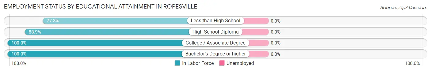 Employment Status by Educational Attainment in Ropesville