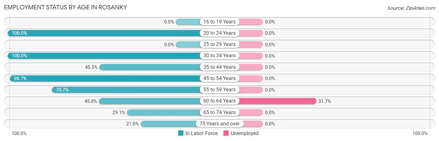 Employment Status by Age in Rosanky