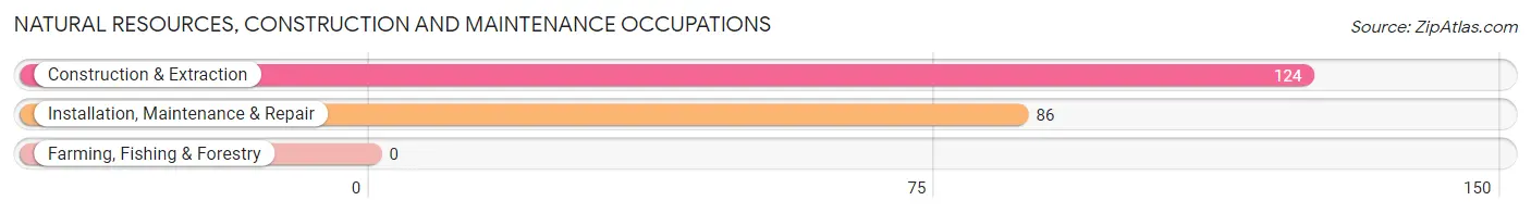 Natural Resources, Construction and Maintenance Occupations in Roscoe