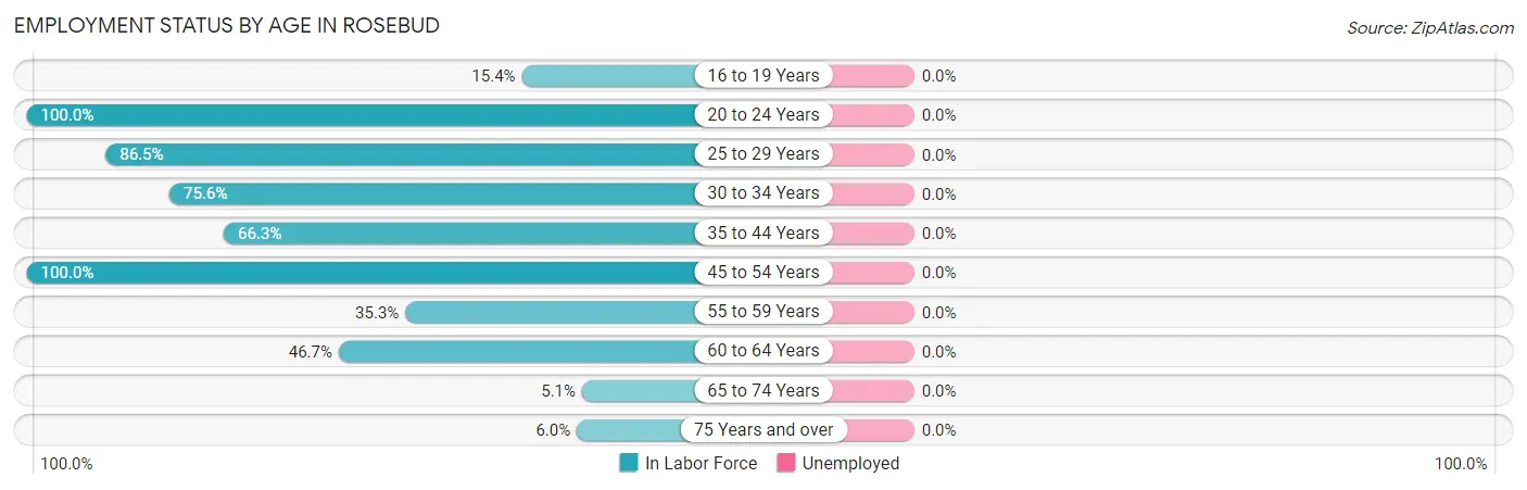 Employment Status by Age in Rosebud
