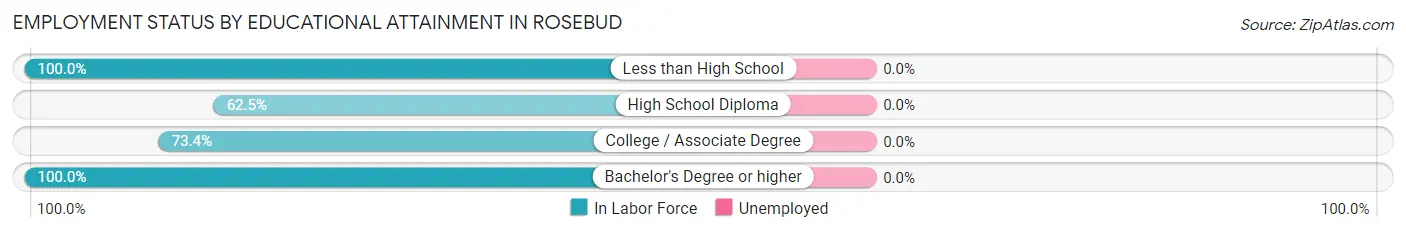 Employment Status by Educational Attainment in Rosebud