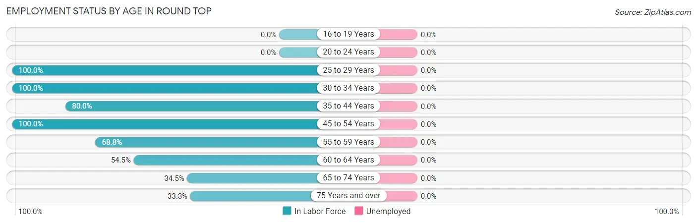 Employment Status by Age in Round Top