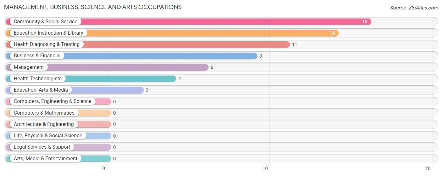 Management, Business, Science and Arts Occupations in Rule