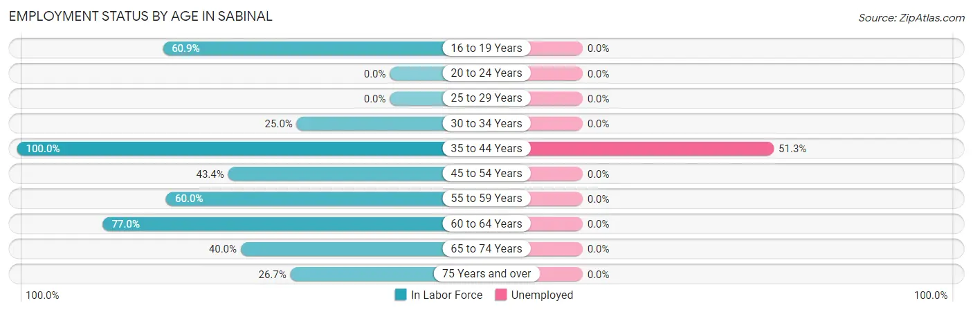 Employment Status by Age in Sabinal