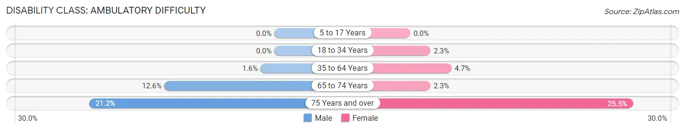 Disability in Sachse: <span>Ambulatory Difficulty</span>