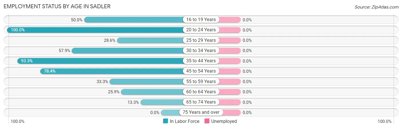 Employment Status by Age in Sadler