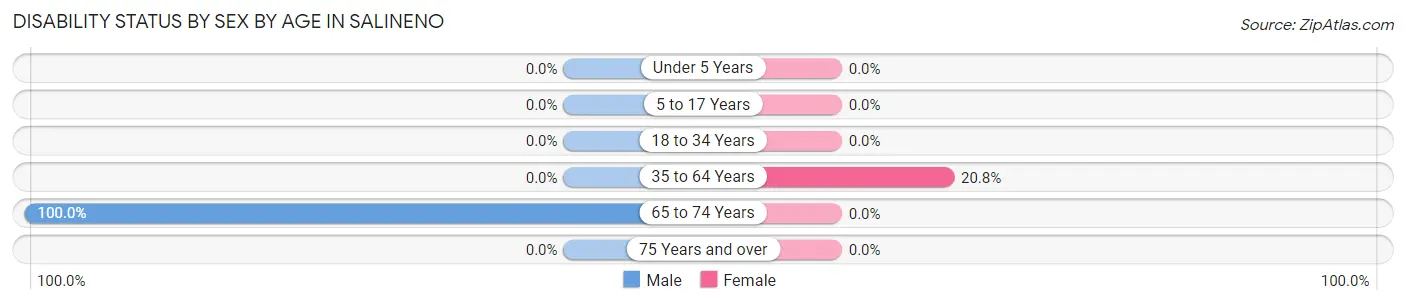 Disability Status by Sex by Age in Salineno