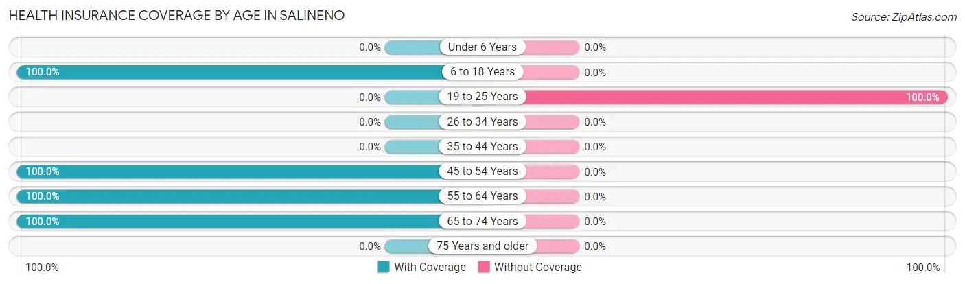 Health Insurance Coverage by Age in Salineno