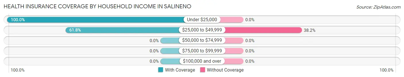 Health Insurance Coverage by Household Income in Salineno