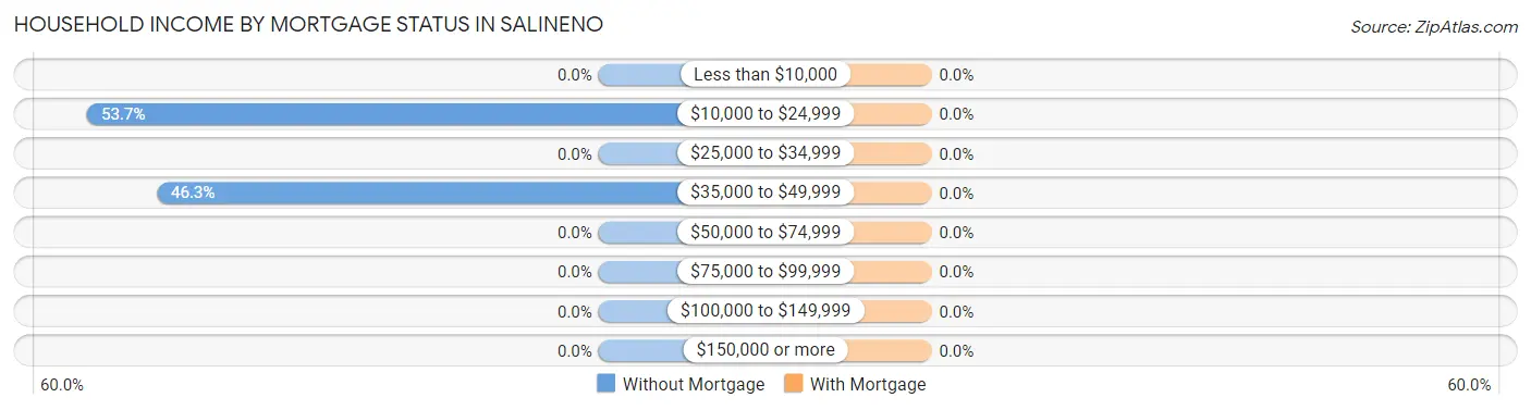 Household Income by Mortgage Status in Salineno