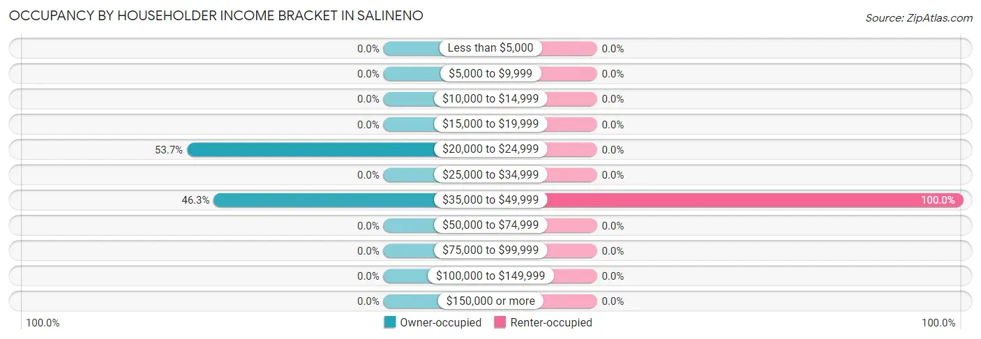 Occupancy by Householder Income Bracket in Salineno