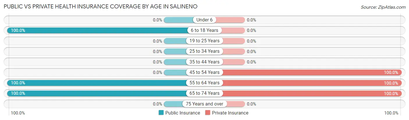 Public vs Private Health Insurance Coverage by Age in Salineno