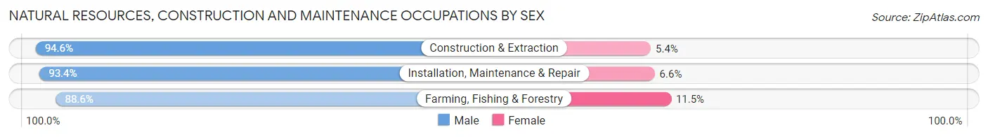 Natural Resources, Construction and Maintenance Occupations by Sex in San Angelo