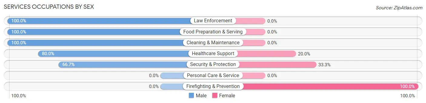 Services Occupations by Sex in Sanctuary