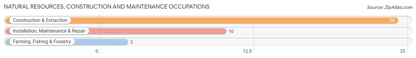 Natural Resources, Construction and Maintenance Occupations in Savoy