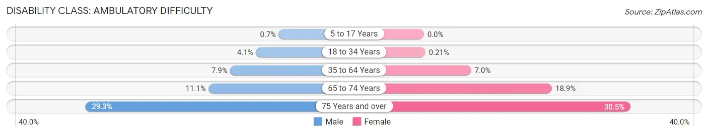 Disability in Schertz: <span>Ambulatory Difficulty</span>