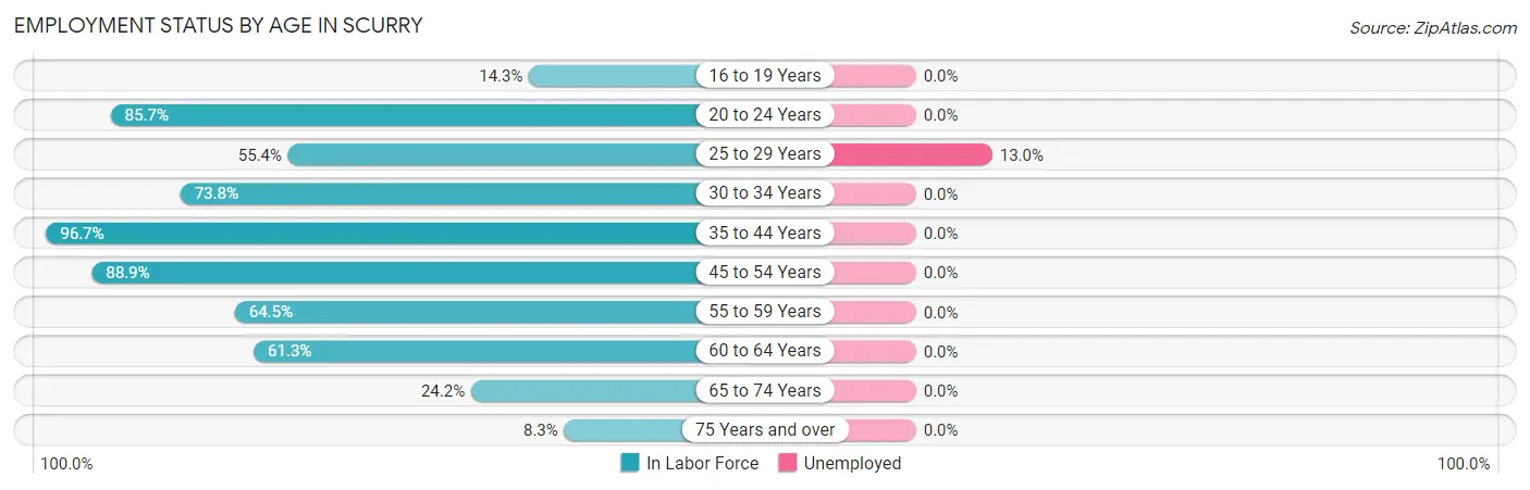 Employment Status by Age in Scurry