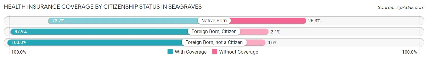 Health Insurance Coverage by Citizenship Status in Seagraves