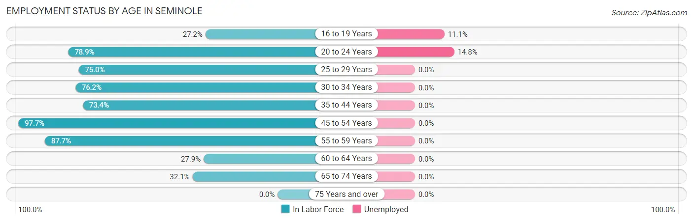 Employment Status by Age in Seminole