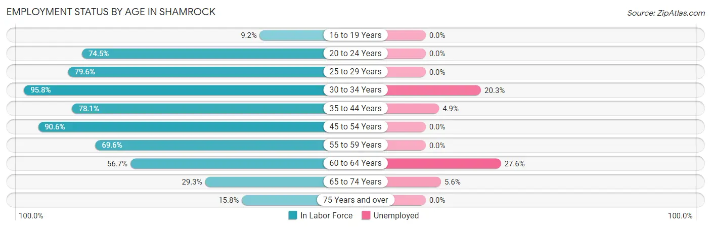 Employment Status by Age in Shamrock