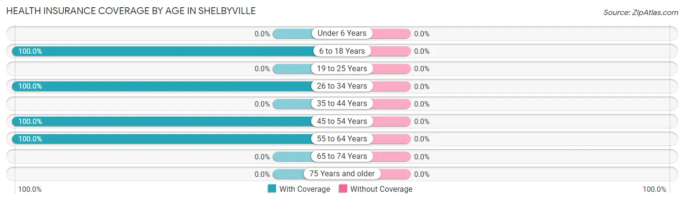 Health Insurance Coverage by Age in Shelbyville