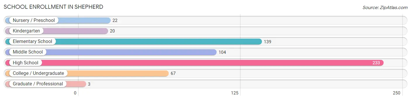 School Enrollment in Shepherd