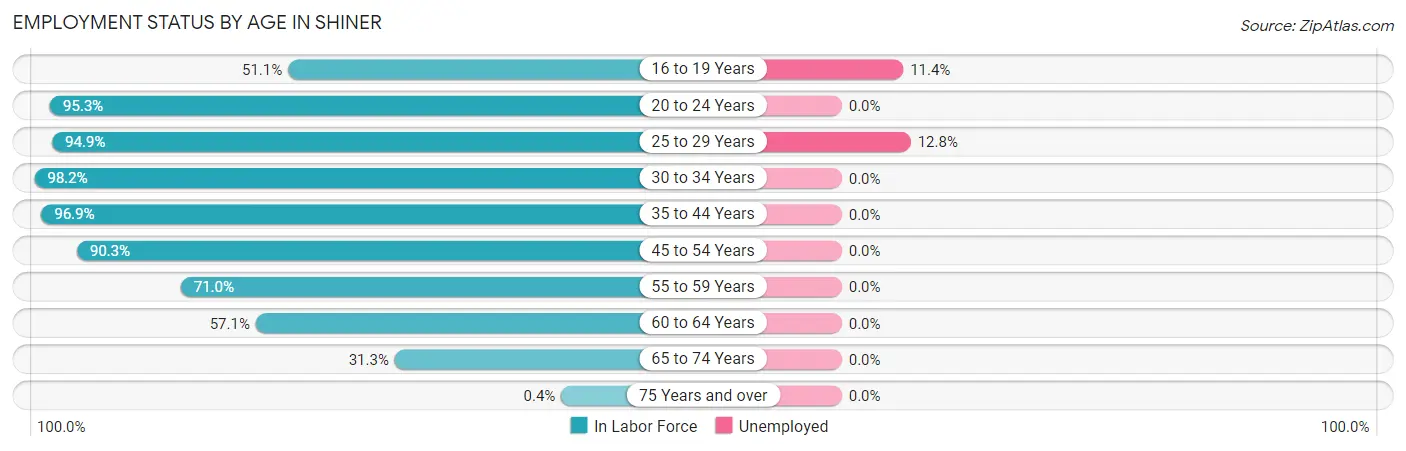 Employment Status by Age in Shiner