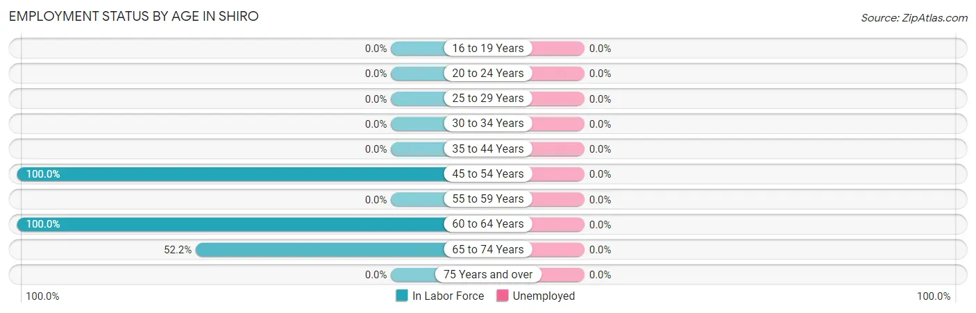 Employment Status by Age in Shiro
