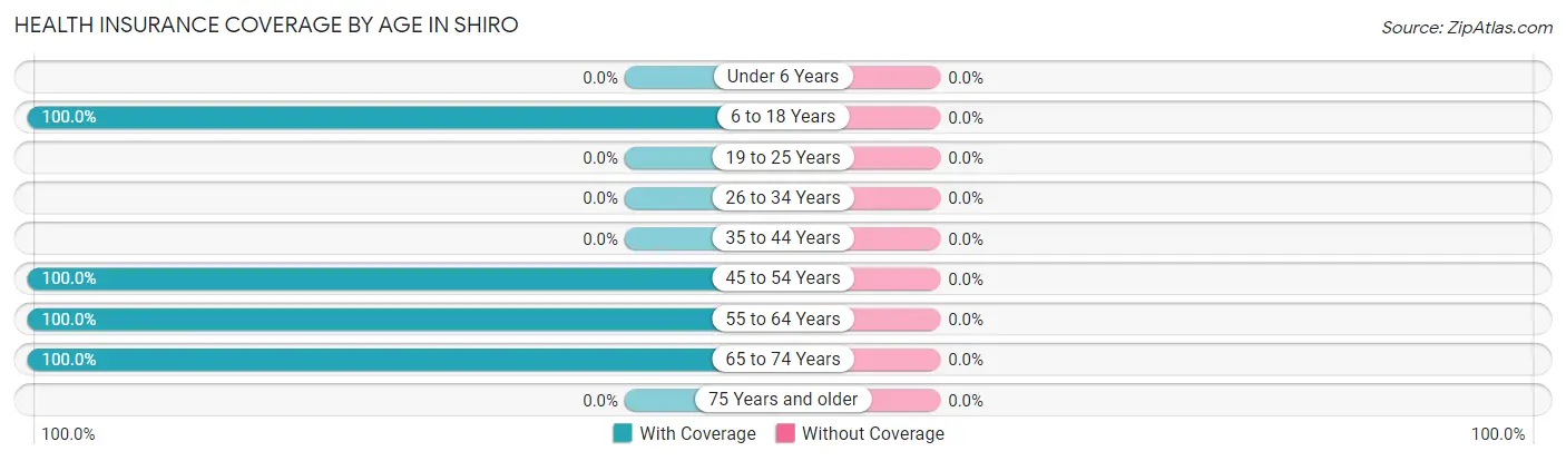 Health Insurance Coverage by Age in Shiro
