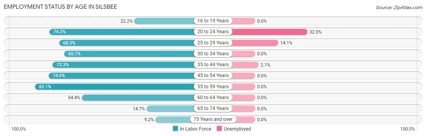 Employment Status by Age in Silsbee