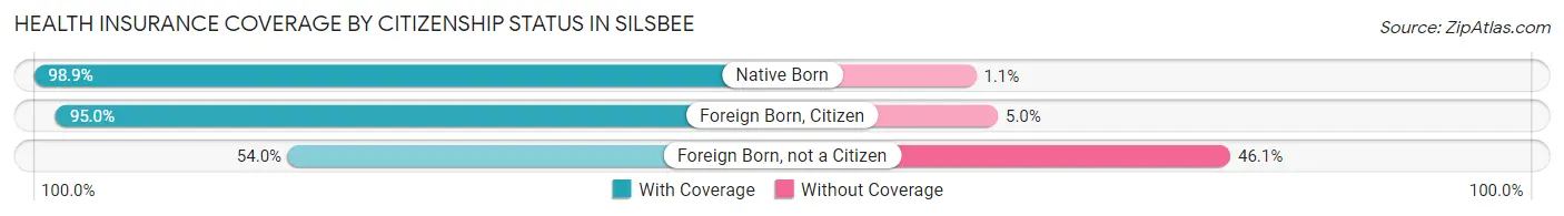 Health Insurance Coverage by Citizenship Status in Silsbee