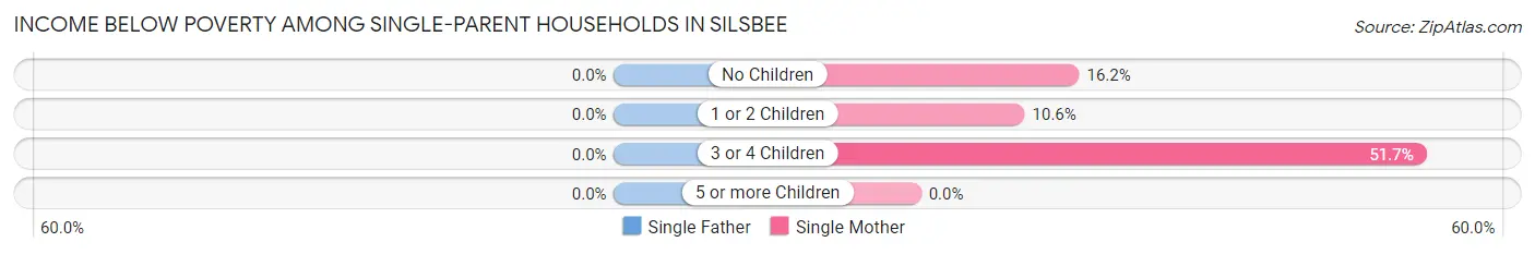 Income Below Poverty Among Single-Parent Households in Silsbee