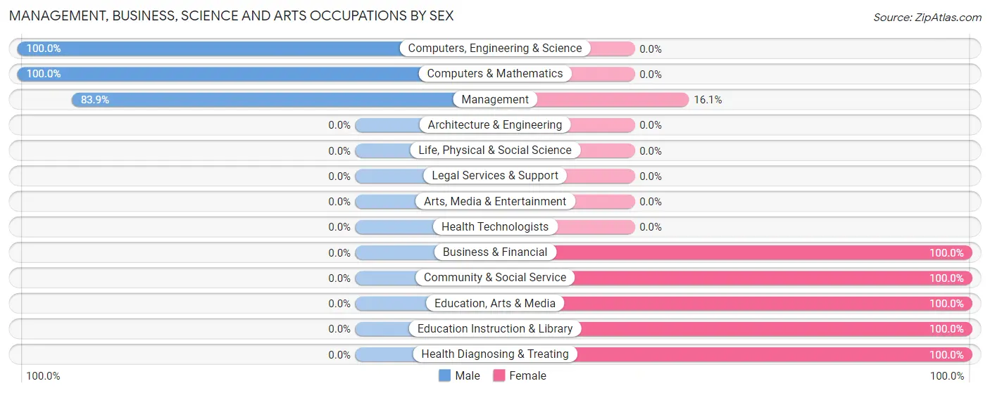 Management, Business, Science and Arts Occupations by Sex in Sinton