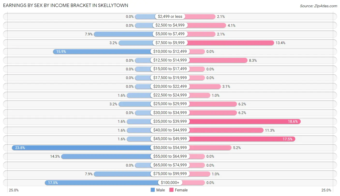 Earnings by Sex by Income Bracket in Skellytown