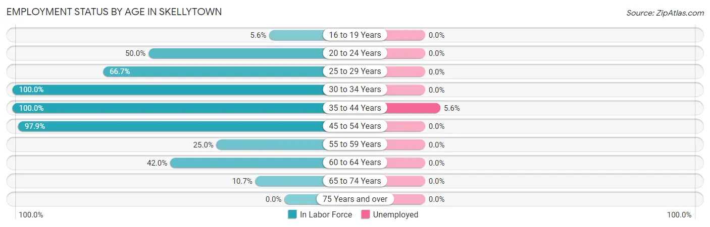 Employment Status by Age in Skellytown