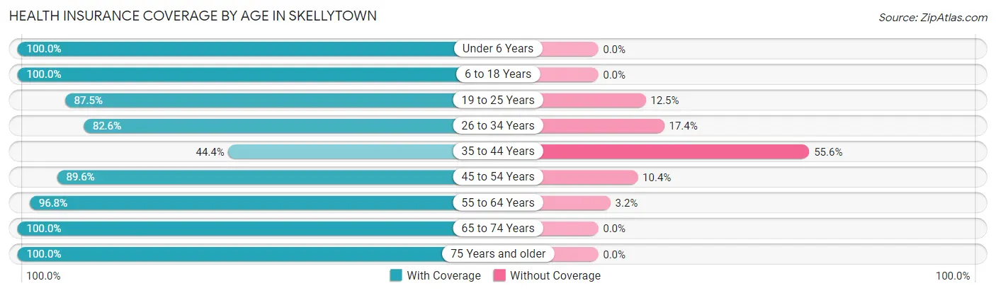 Health Insurance Coverage by Age in Skellytown
