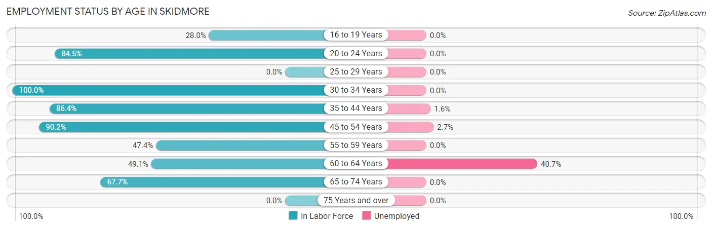 Employment Status by Age in Skidmore