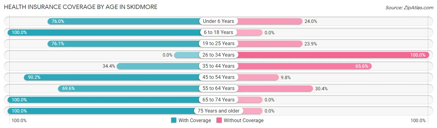 Health Insurance Coverage by Age in Skidmore