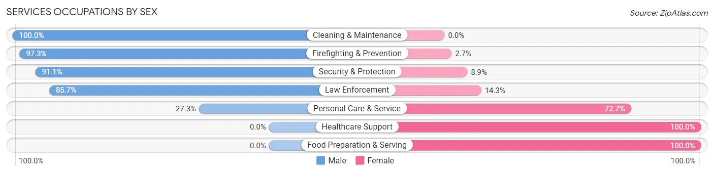 Services Occupations by Sex in Skidmore