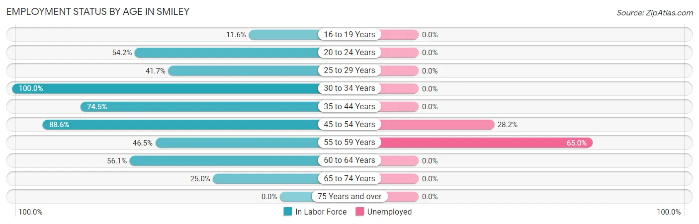 Employment Status by Age in Smiley