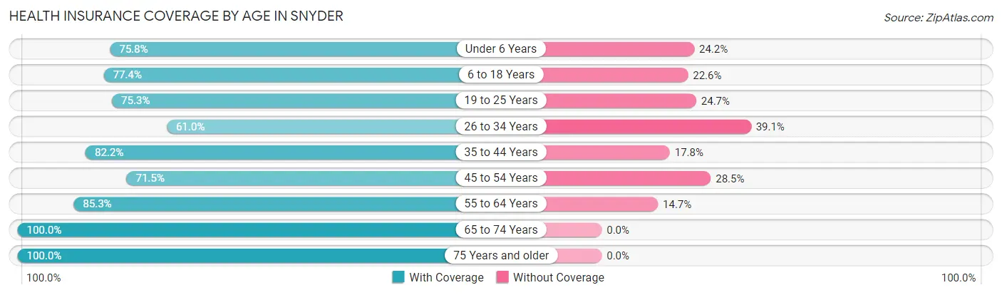 Health Insurance Coverage by Age in Snyder