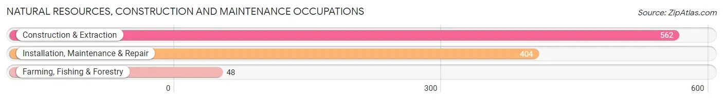 Natural Resources, Construction and Maintenance Occupations in Snyder