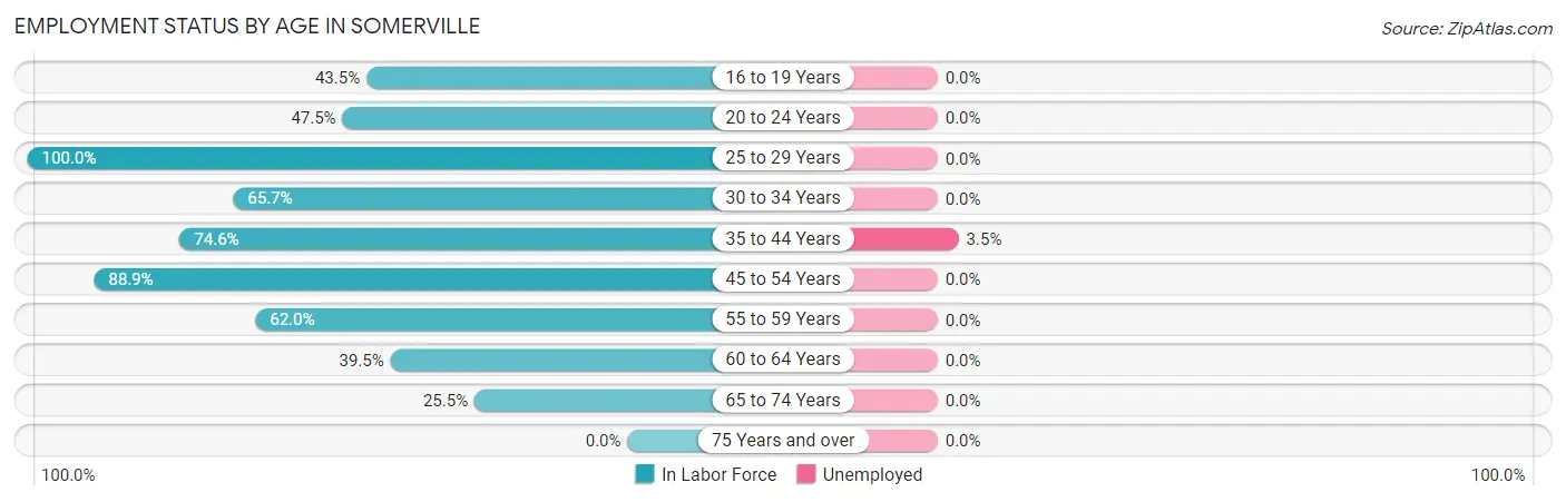 Employment Status by Age in Somerville