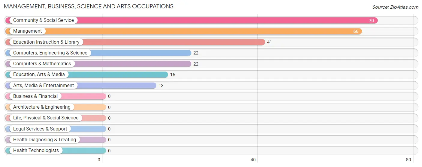 Management, Business, Science and Arts Occupations in Somerville