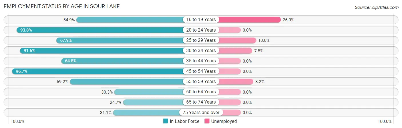 Employment Status by Age in Sour Lake