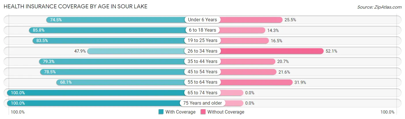 Health Insurance Coverage by Age in Sour Lake
